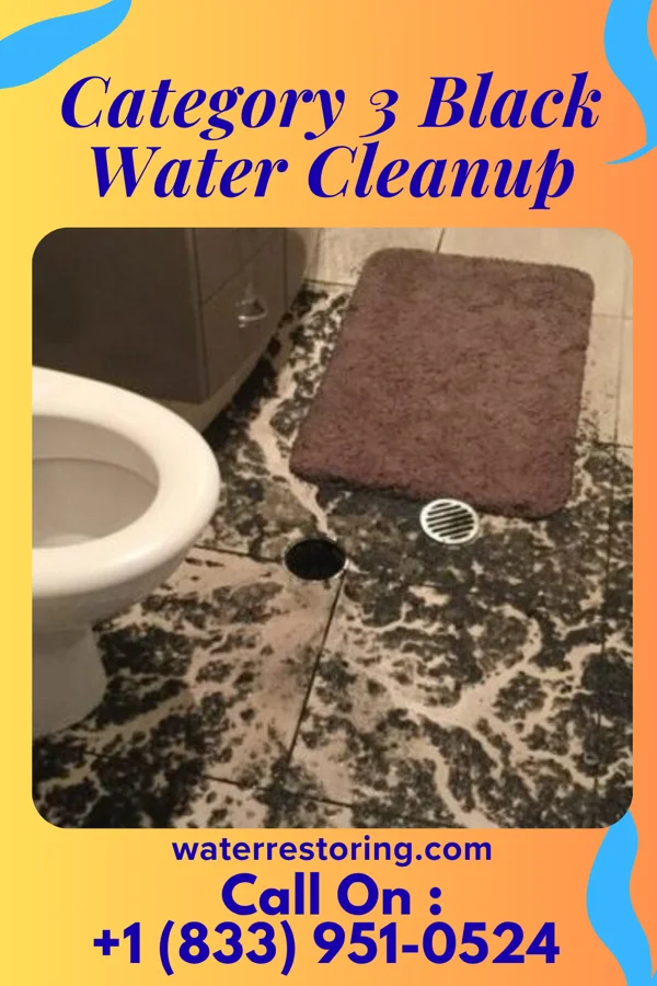 Category 3 Black Water Cleanup in Grover Hill, OH