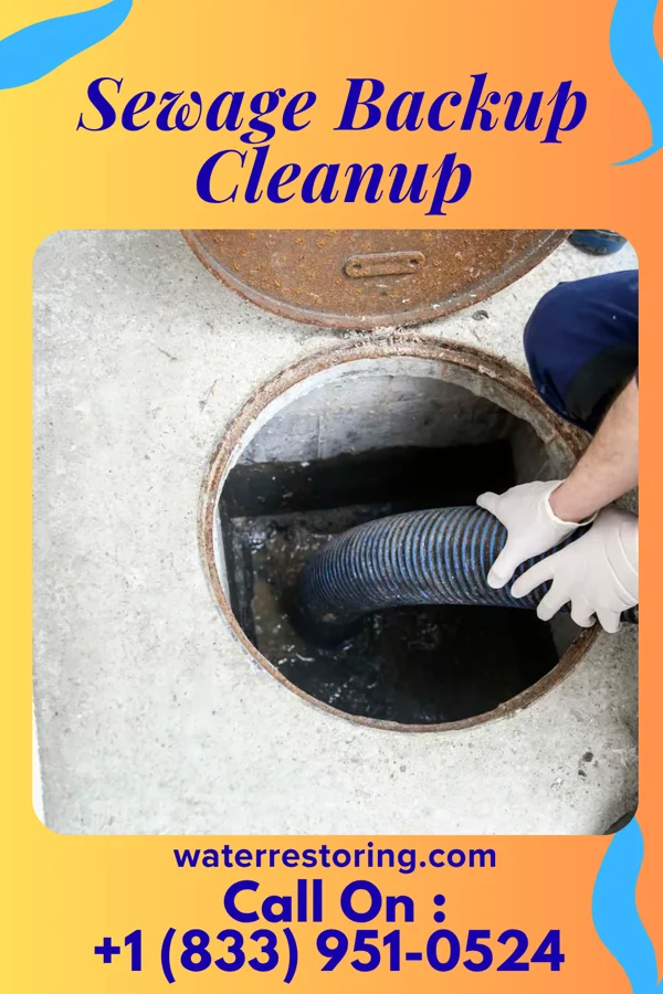 Sewage Backup Cleanup in Grover Hill, OH